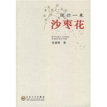 送你一束沙枣花【正版图书,放心购买】