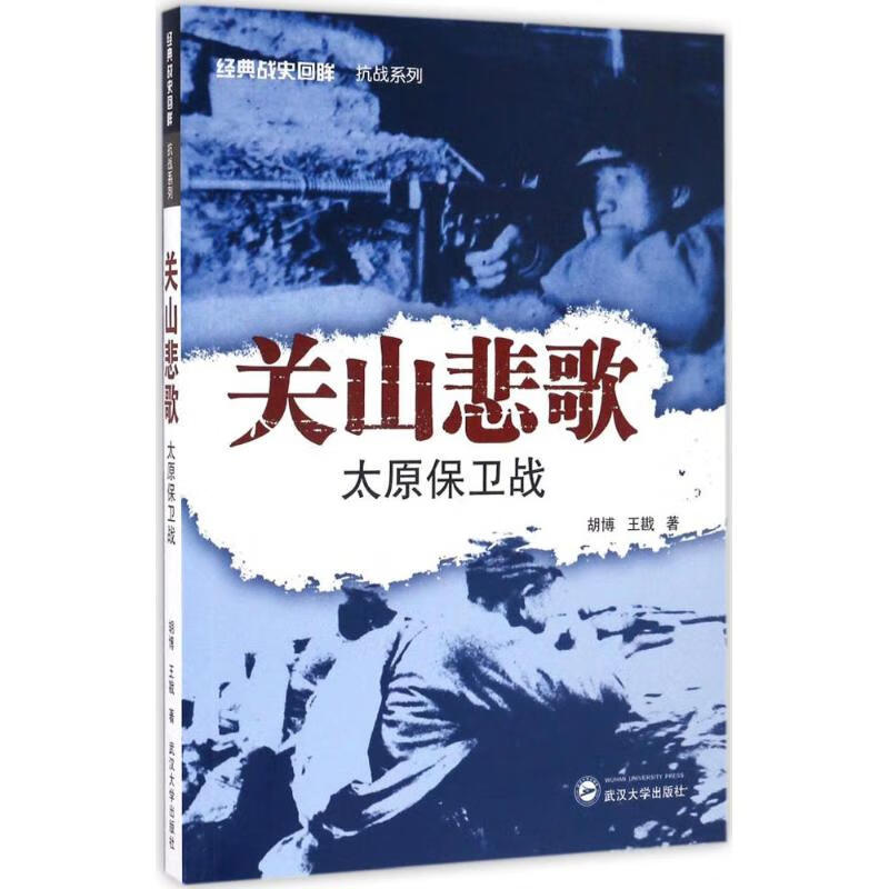 关山悲歌 胡博,王戡 书籍