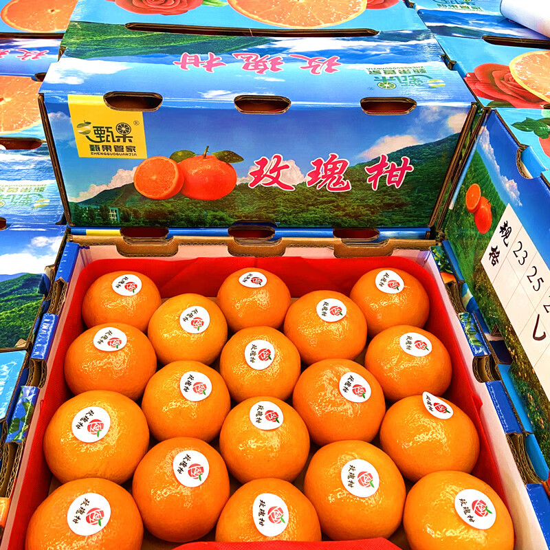 玫栀玫瑰柑玫瑰香柑8斤装新鲜水果沃柑肉厚皮薄多汁玫瑰蜜香 玫瑰柑 8