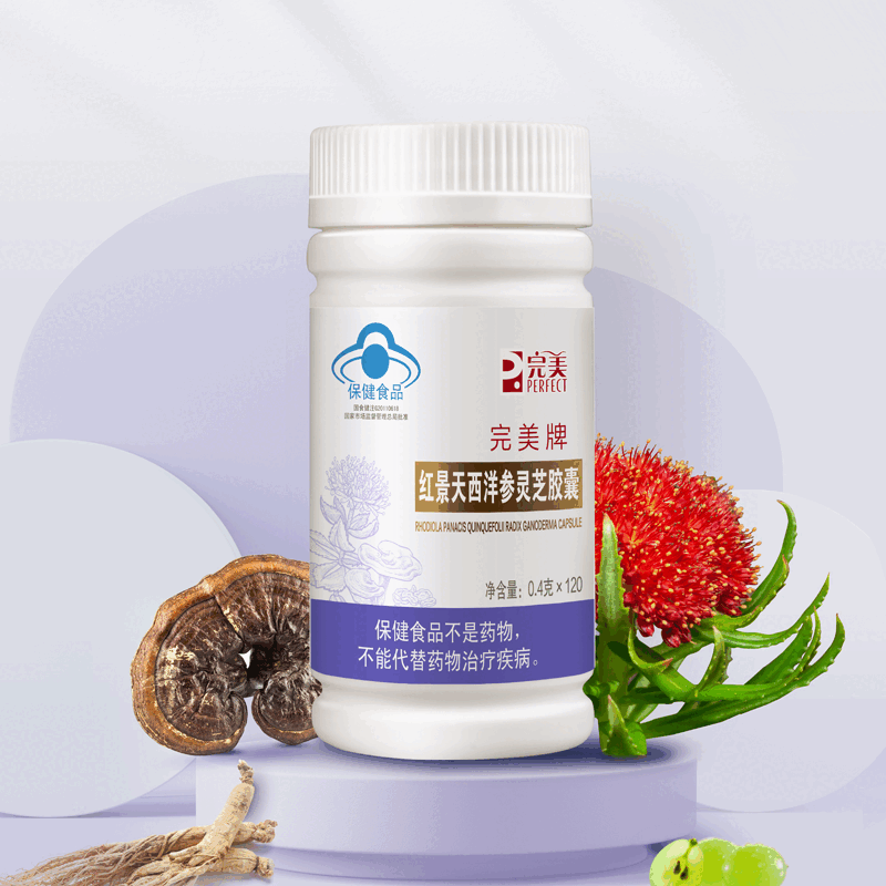 灵芝西洋参胶囊牌红景天西洋参灵芝胶囊