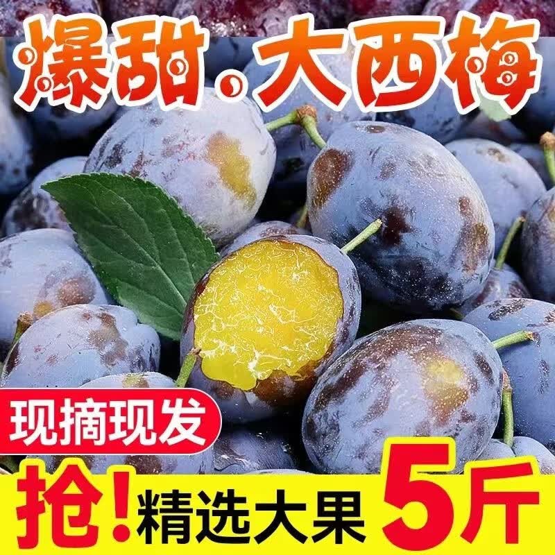 阿树尚西梅新鲜 李子水果应季大果孕妇新鲜水果脆甜 甄选5斤装高性价比高么？