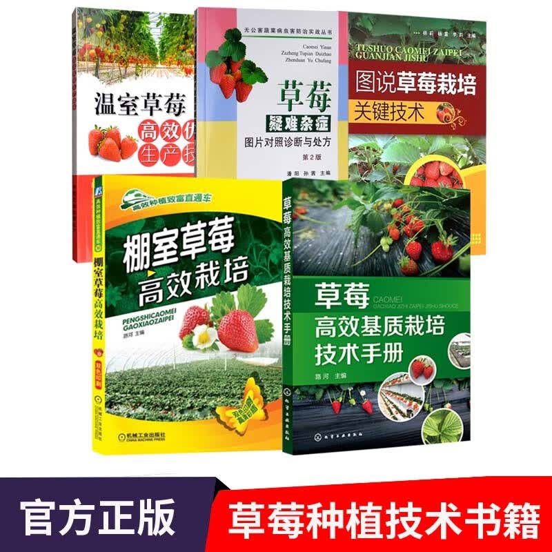 草莓高效基质栽培+棚室栽培+温室优质生产+图说栽培技术+疑难杂症诊断与处方 草莓种植技术书