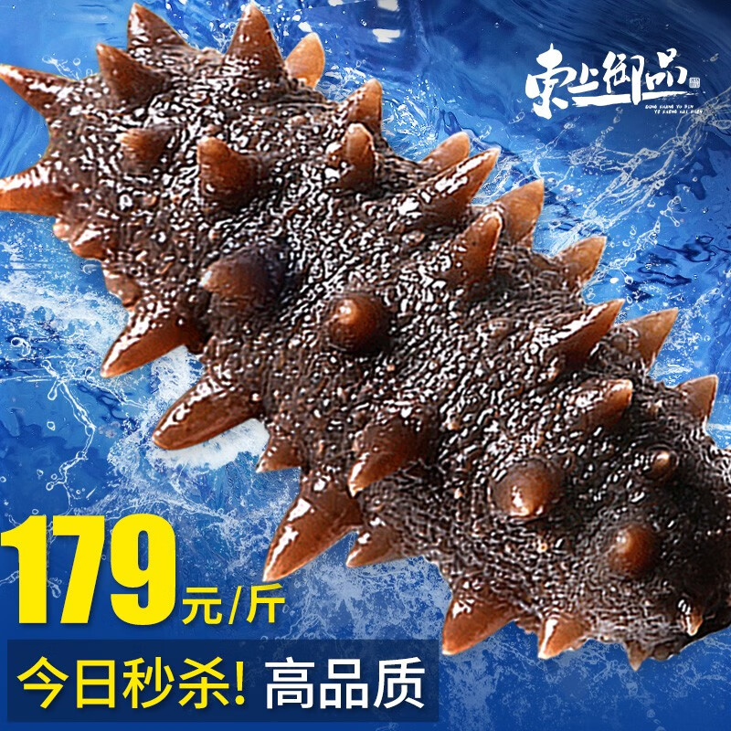 东上御品海参即食大连鲜活野生辽刺参海生海叁海鲜礼盒单个装500g 20-30只/斤 1斤怎么样,好用不?