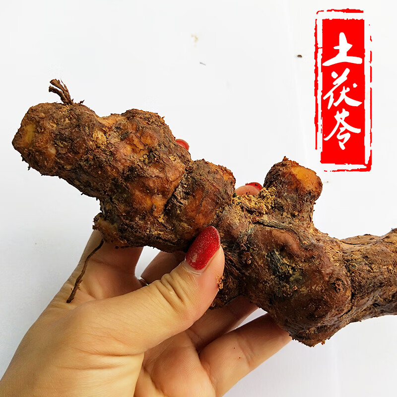 杞里香 土茯苓新鲜茯苓500g农家现挖鲜生土茯苓广东煲汤料