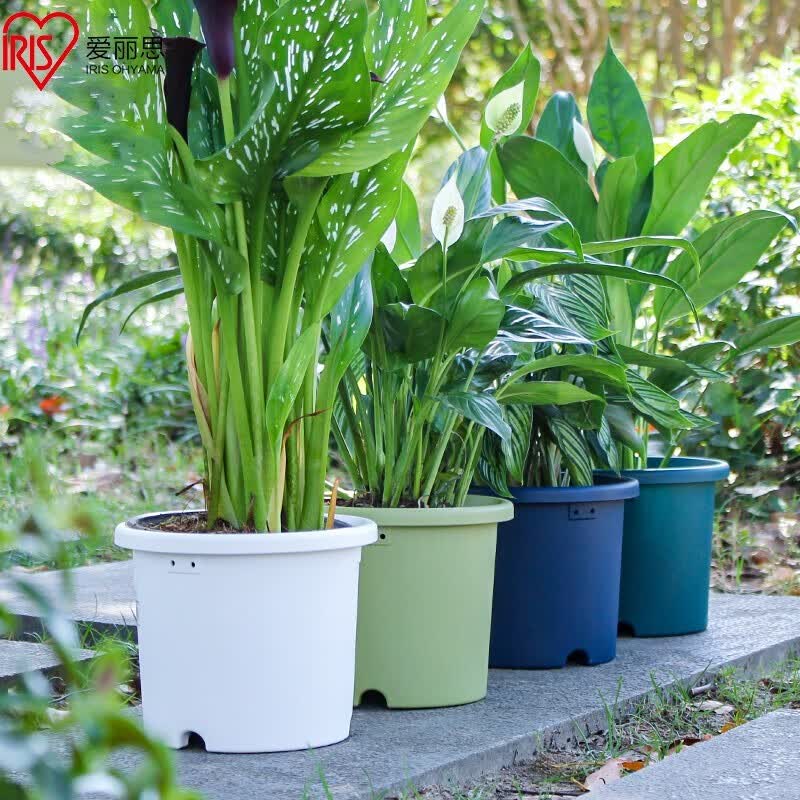 爱丽思(IRIS)Deepot加厚树脂花盆圆口塑料绿萝绣球月季铁线莲花 10号浅绿色怎么看?
