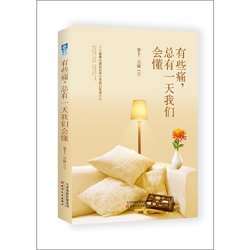 有些痛总有一天我们会懂