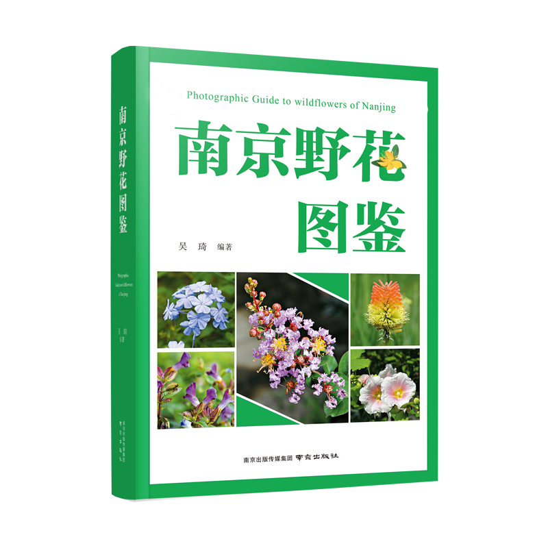 【现货】南京野花图鉴 科普图鉴