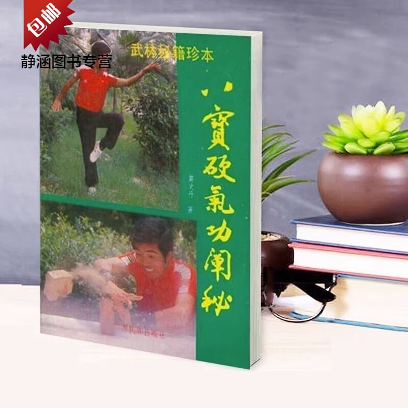 八宝硬气功阐秘 八宝拳门秘传大力金刚掌等6种硬气功绝技 莫文丹