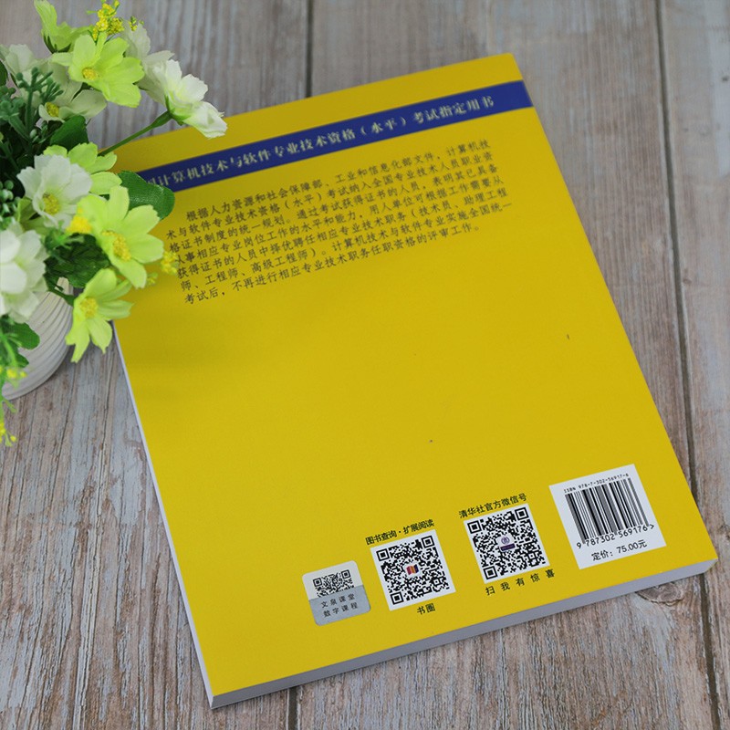 软考教程 系统分析师2014至2019年试题分析与解答(全国计算机技术与软件专业技术资格水平考试指定用书)