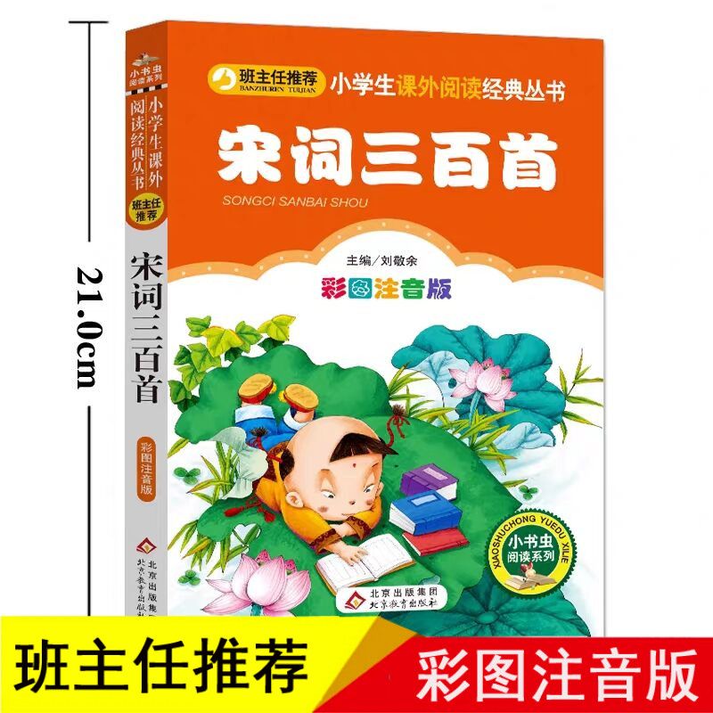 宋词三百首 注音版彩图小学语文课外书班主