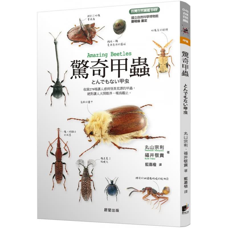 现货正版 惊奇甲虫 20 丸山宗利, 福井敬贵 晨星 自然科普 进口原版