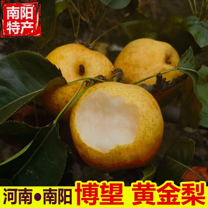 ԥƽ10ӵӦˮѩ 9ͥװŸ񫡿 ͷժַ»ƽ 69.8Ԫ