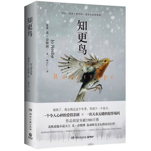 【正版书】知更鸟9787540483968