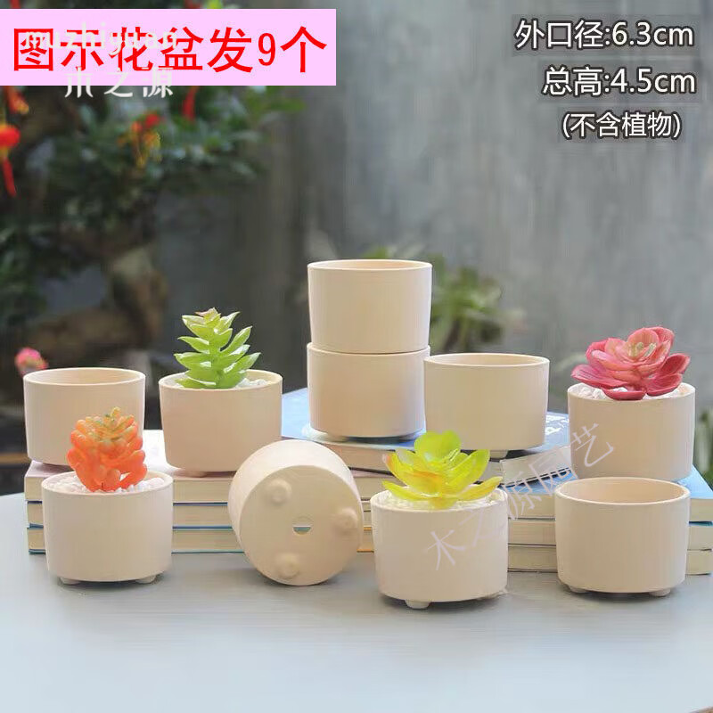 花盆陶瓷拇指多肉粗陶diy儿童涂鸦创意画画素烧透气植物盆 肚6个(特)