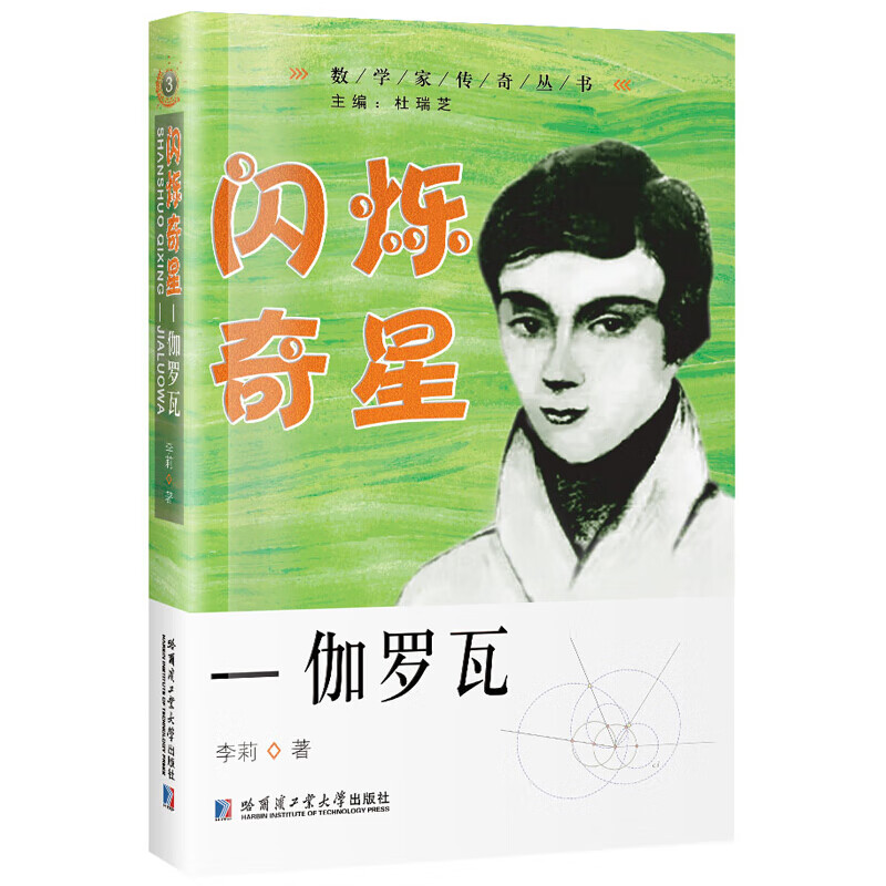 闪烁奇星—伽罗瓦 数学家传奇丛书