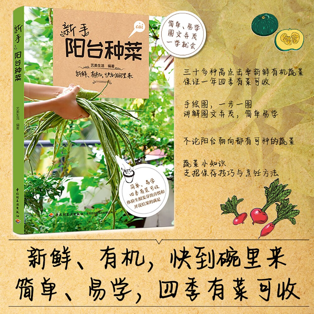 新手阳台种菜
