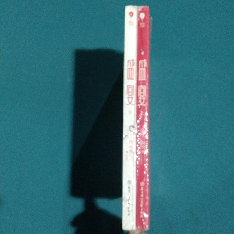 盛宴周弯弯北方妇女儿童出版社