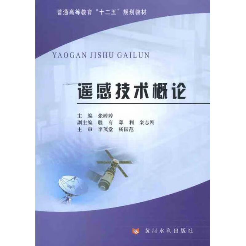 遥感技术概论 张婷婷 作 书籍