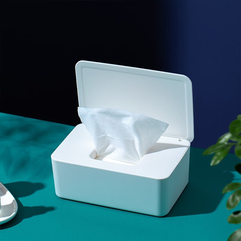 纳妆 一次性儿童学生口罩收纳盒便捷大容量湿巾纸巾盒多功能防尘密封