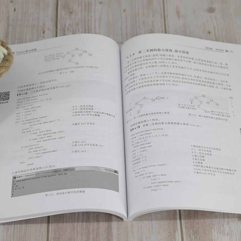 Python算法图解（计算机科学与技术丛书）