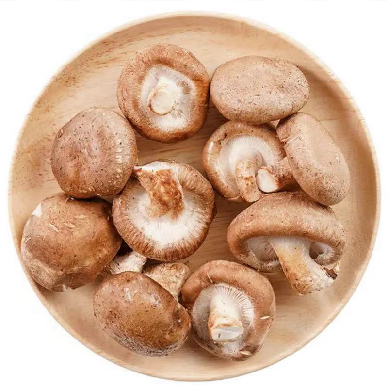 小汤山 香菇 200g 基地直供新鲜蔬菜高性价比高么？