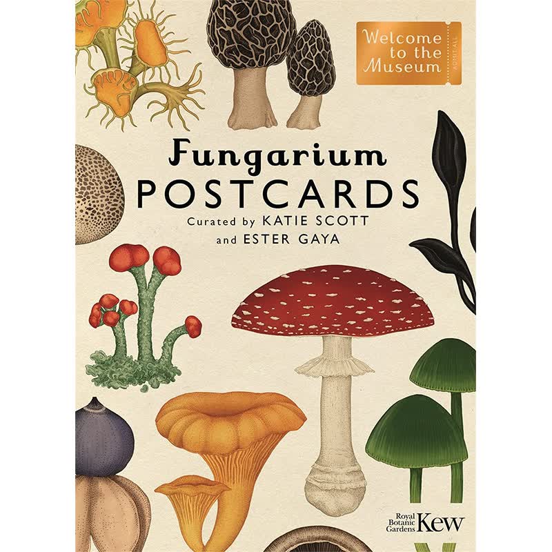【现货】Fungarium Postcards 蘑菇馆明信片 英文原版图书籍正版 Katie Scott