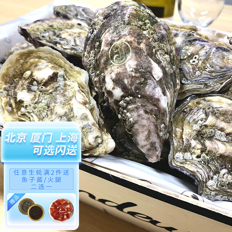 蠔门 吉拉多Grandeur生蚝鲜活 法国进口生蚝 海蛎子新鲜牡蛎 生鲜贝类海鲜水产 12只 N0