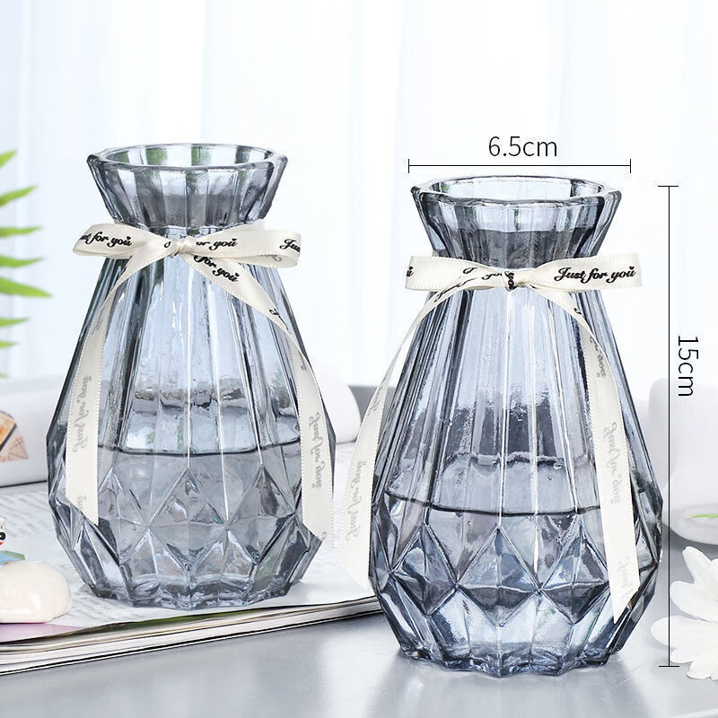 欧式创意玻璃花瓶透明水培绿萝植物玻璃花瓶家用插花客厅装饰摆件姒桀 15cm钻【烟灰色】2个 新款【加厚】高【+丝带】