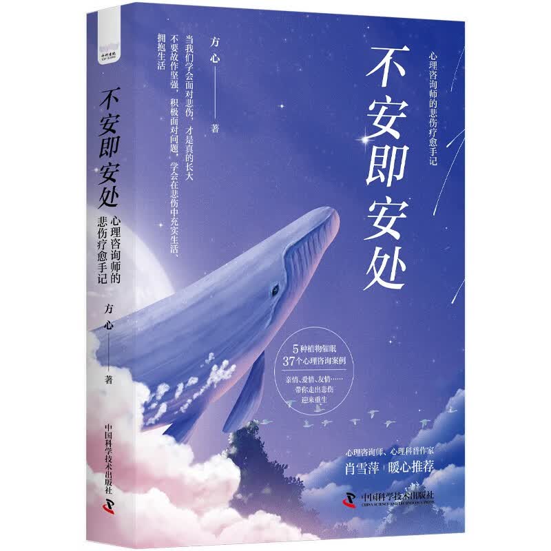 不安即安处：心理咨询师的悲伤疗愈手记使用感如何?