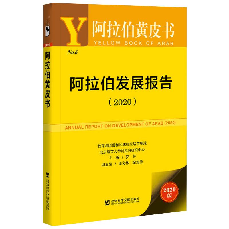 阿拉伯发展报告(2020) 2020版