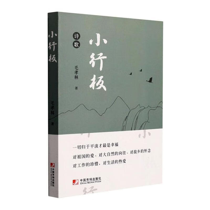 小行板毛孝林中国市场出版社9787509221143 梦溪图书