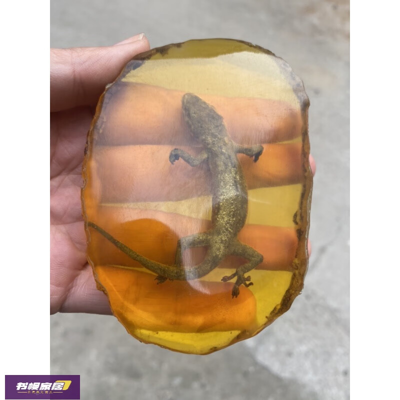 家隆天然琥珀标本真昆虫子人工原石片吊坠虫珀动物标本创意吊坠 壁虎