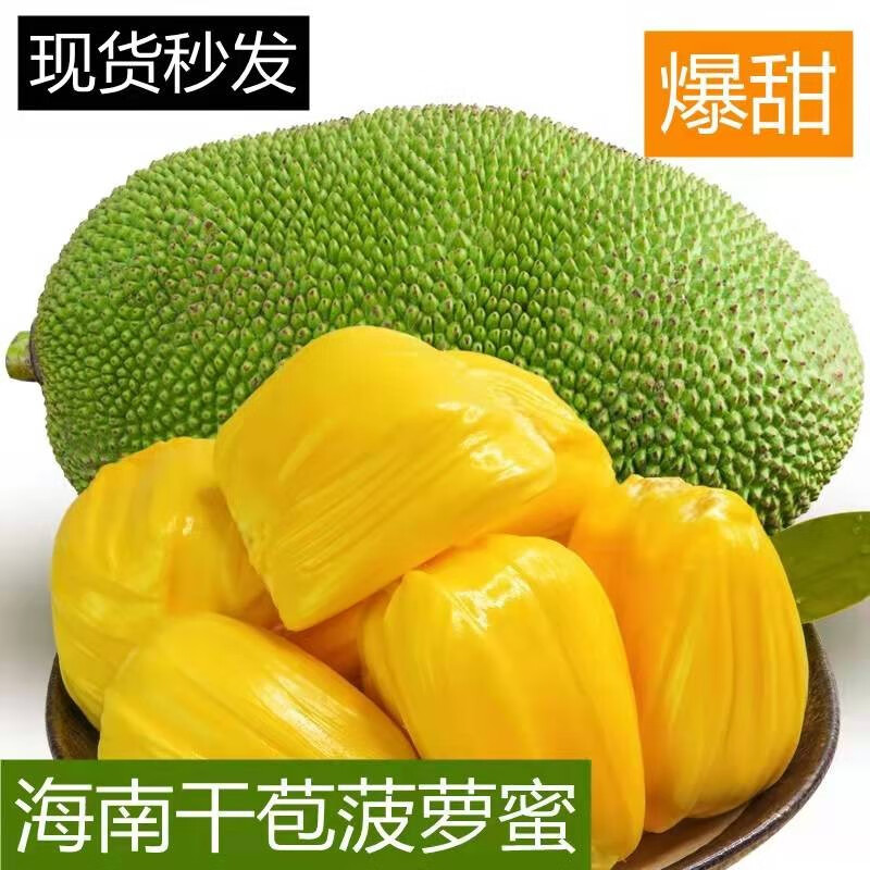当季海南三亚黄肉菠萝蜜新鲜热带水果一整个干苞木菠萝蜜包邮特产 10-13斤/5kg-6.5kg整果 10-13斤