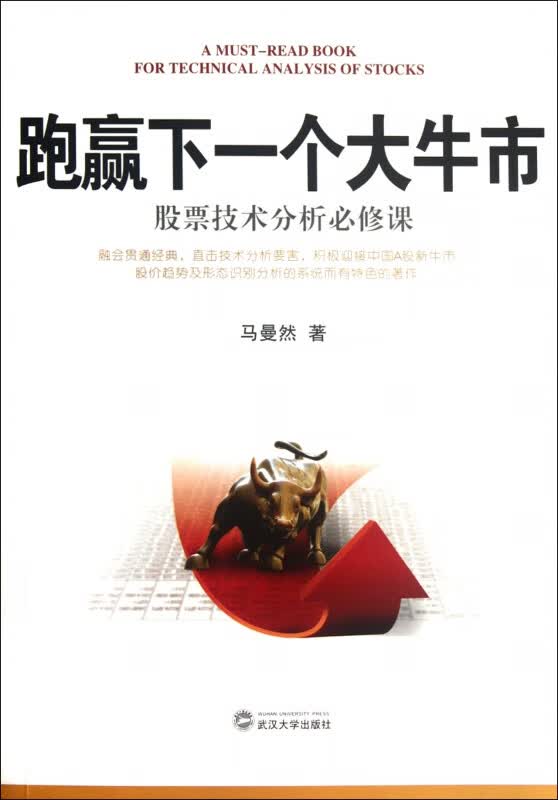 跑赢下一个大牛市(股票技术分析必修课)
