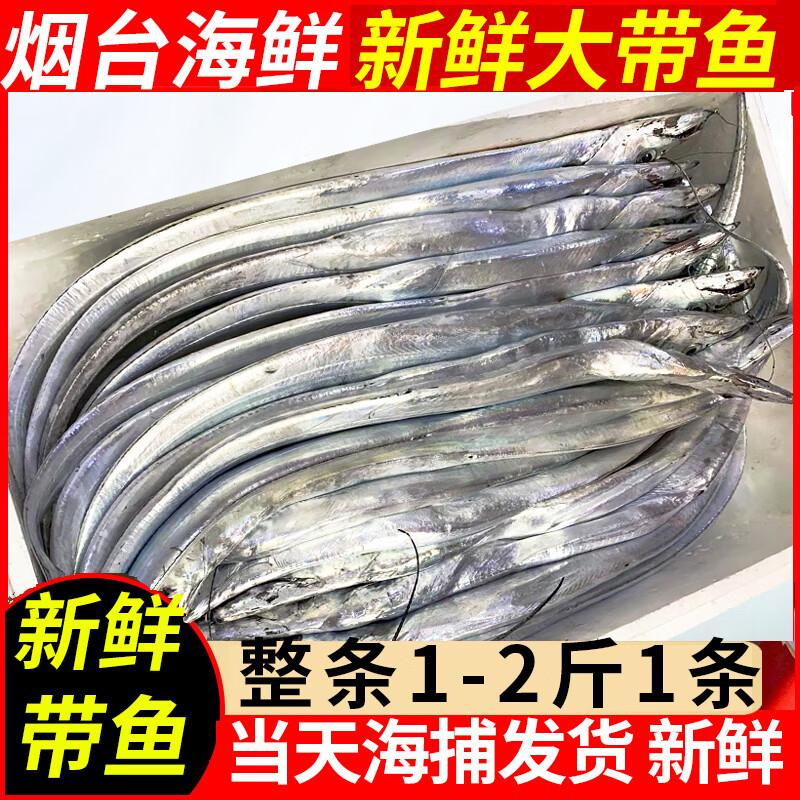三蟹岛新鲜带鱼 新鲜刀鱼 海鲜年货 烟台大刀鱼整条海鲜水产 带鱼礼盒 2.7-2.9斤/条