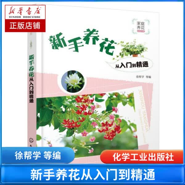新手养花从入门到精通/家庭养花必读书系