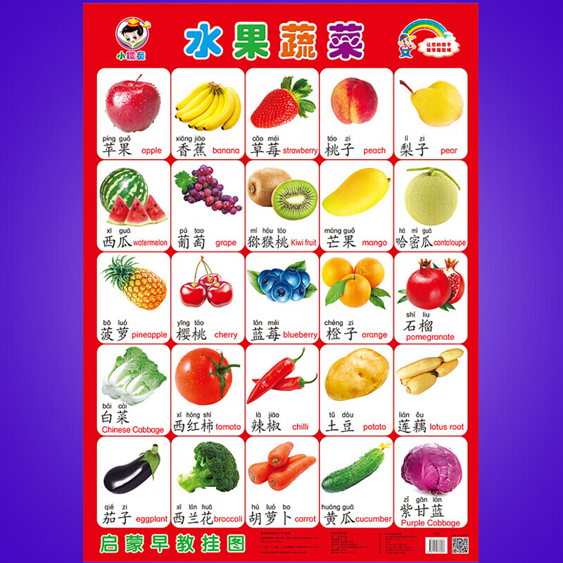 宝宝挂图婴幼儿童识图0-3画报启蒙早教拼音挂图墙贴看图识字卡片 认识