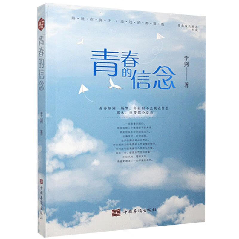 青春的信念小说 图书