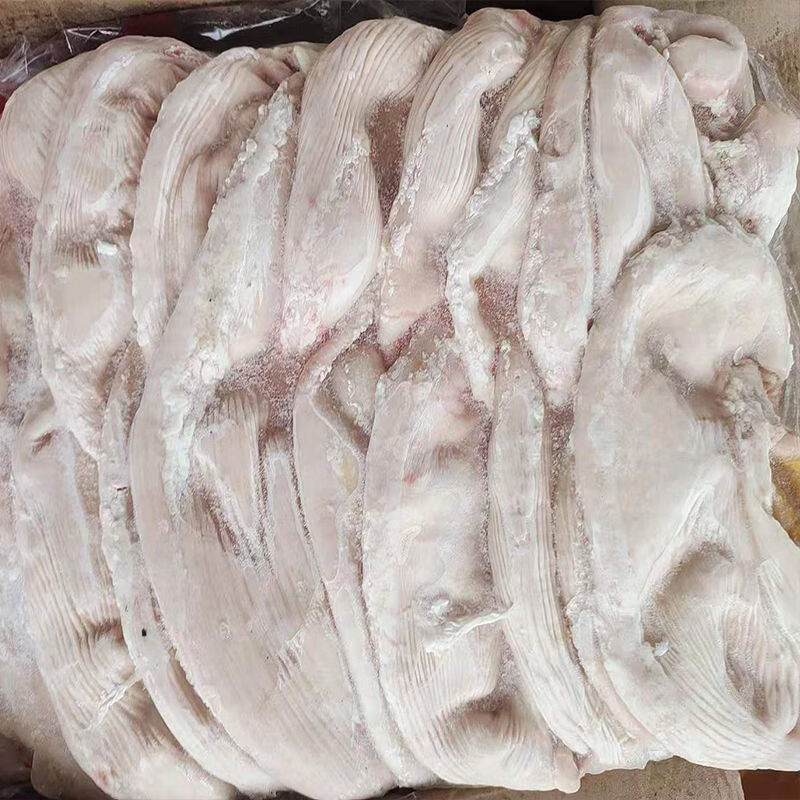 猪肚批发20斤整箱无注水猪大肚不带肚尖餐饮小炒卤菜煲汤食材5斤 纯干