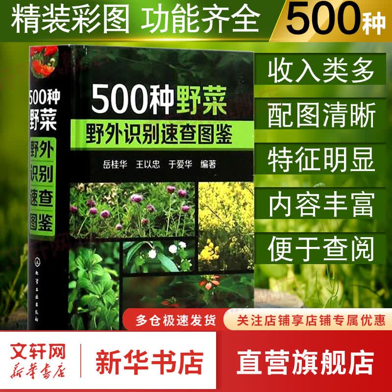 500种野菜野外识别速查图鉴 植物识别特征参考 野生蔬菜鉴别教程 野菜栽培种植技术大全