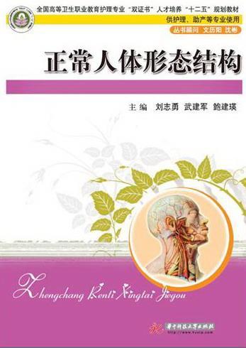 包邮:正常人体形态结构 大中专教材教辅 人体形态学高等职业教育教材
