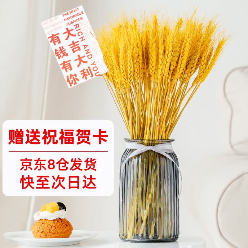 初朵 麦穗花束客厅摆件开业干麦麦穗摆件插花拍摄送礼金色100支怎么看?