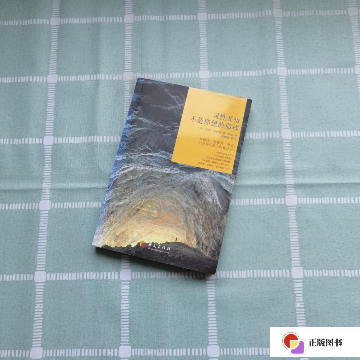 【二手9成新】灵性开悟不是你想的那样/杰德·麦肯纳 华夏出版社