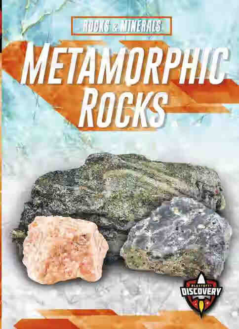 预售 按需印刷metamorphic rocks