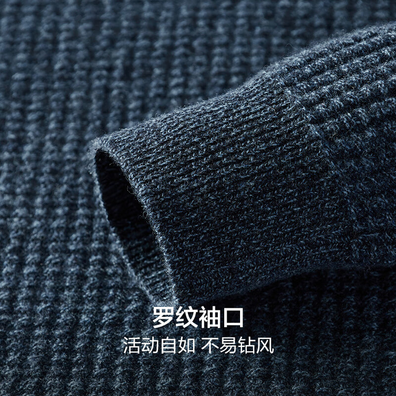 红豆羊毛衫男【厚款100%绵羊毛】华夫格肌理秋季男士毛衣套头 B1兰色 L 175/96B