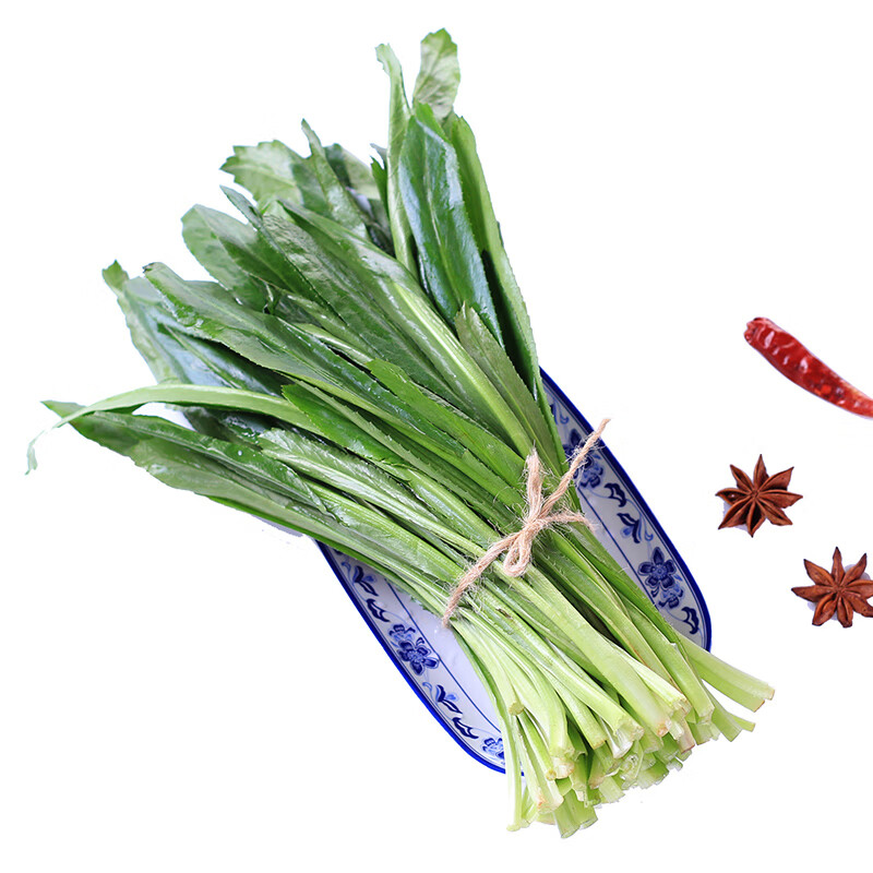 爵妃云南大香菜 1kg 大芫荽大叶香菜 大芫细 新鲜蔬菜 一份