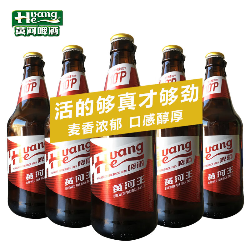 奥丁格甘肃黄河王啤酒500ml*6瓶装 黄啤酒整箱 黄河啤酒 啤酒整箱