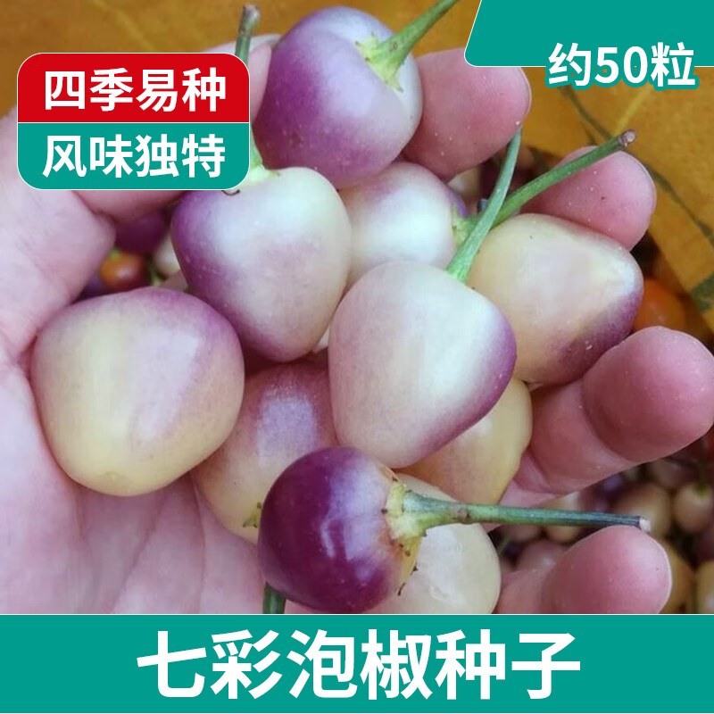 千特辣椒种子小米朝天椒七彩美人魔鬼螺丝青椒线椒种籽孑大全四季盆栽