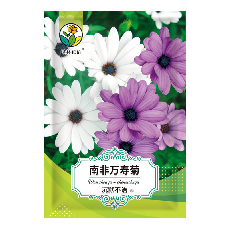 绿林花语南非万寿菊种子多年生耐寒耐旱花种盆栽阳台室外观赏非洲菊