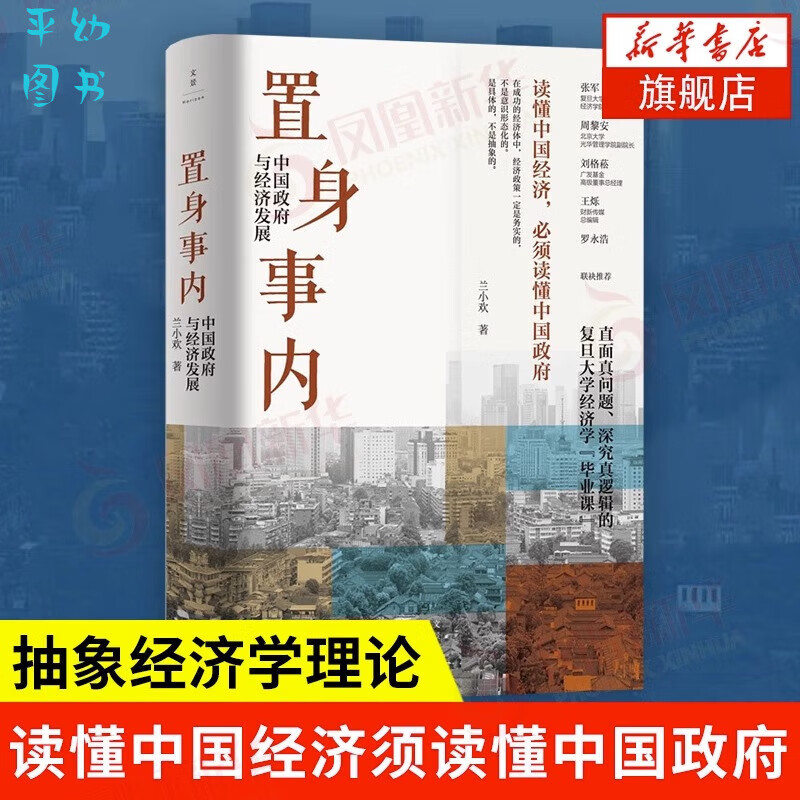 置身事内 中国政府与经济发展 管理书籍金融投资 置身室内兰小欢 中国发展现实的把握 经济学理论 复旦经院毕